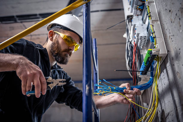 Best Home Electrical Repair  in Bellevue, IL