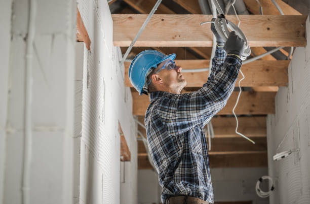 Best Outdoor Lighting Installation  in Bellevue, IL